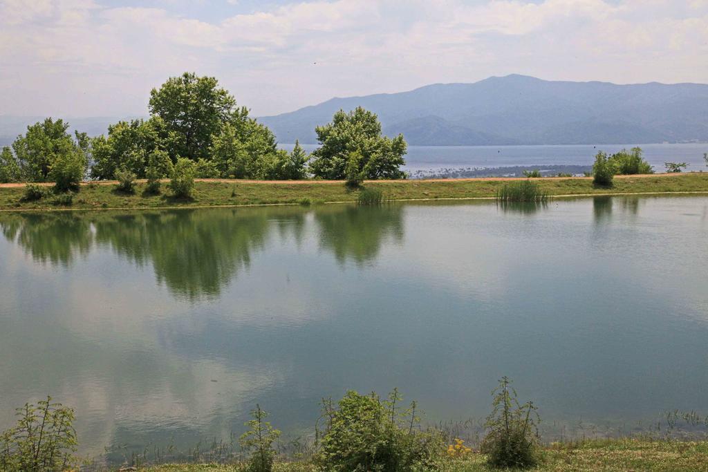 Refanidis Natural Luxury Hotel Áno Poróïa エクステリア 写真