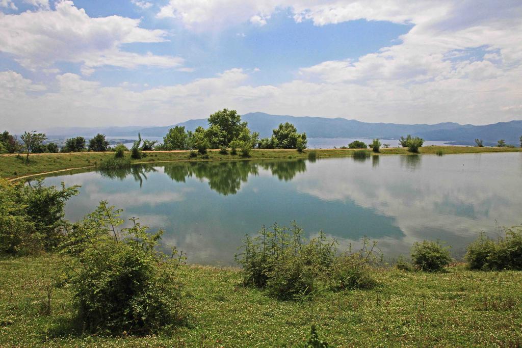 Refanidis Natural Luxury Hotel Áno Poróïa エクステリア 写真